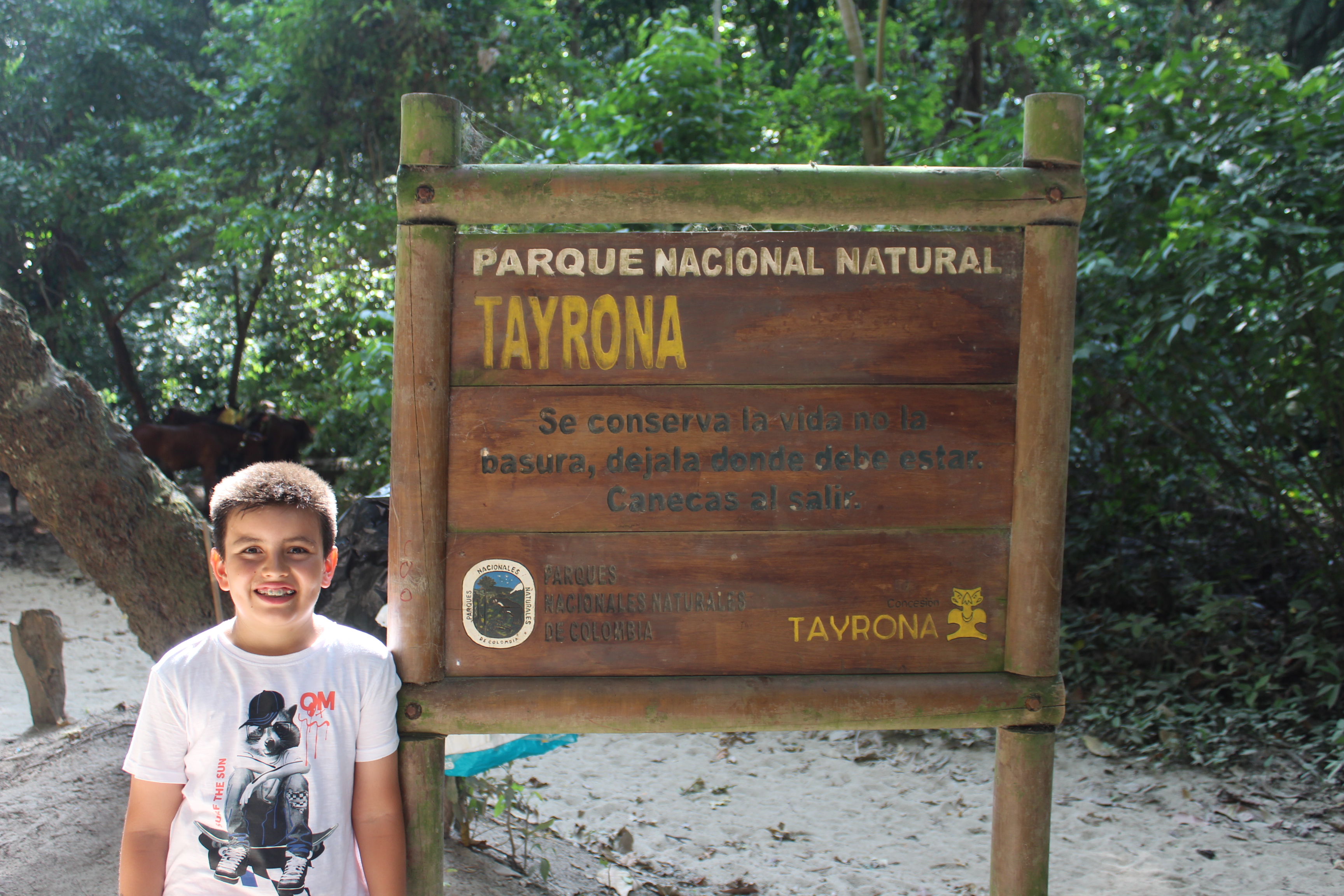 Reforzamiento Inglés Lucas